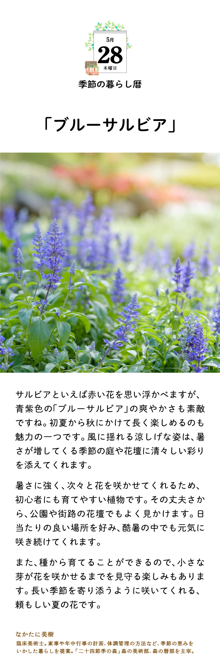 今日のこよみ