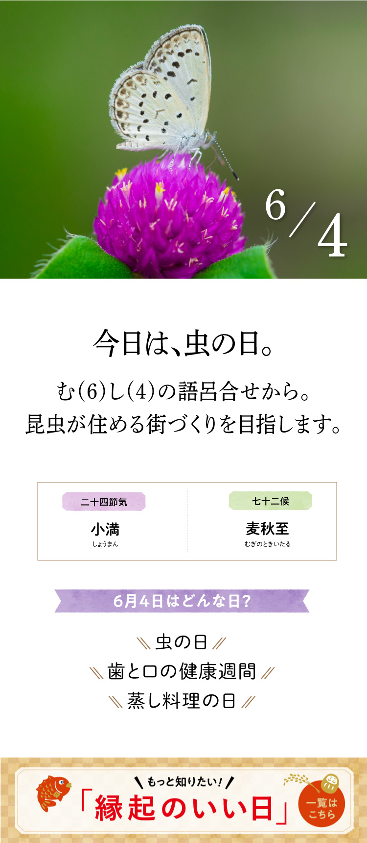 今日のこよみ