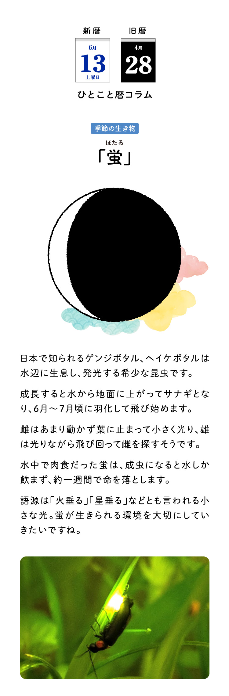 今日のこよみ