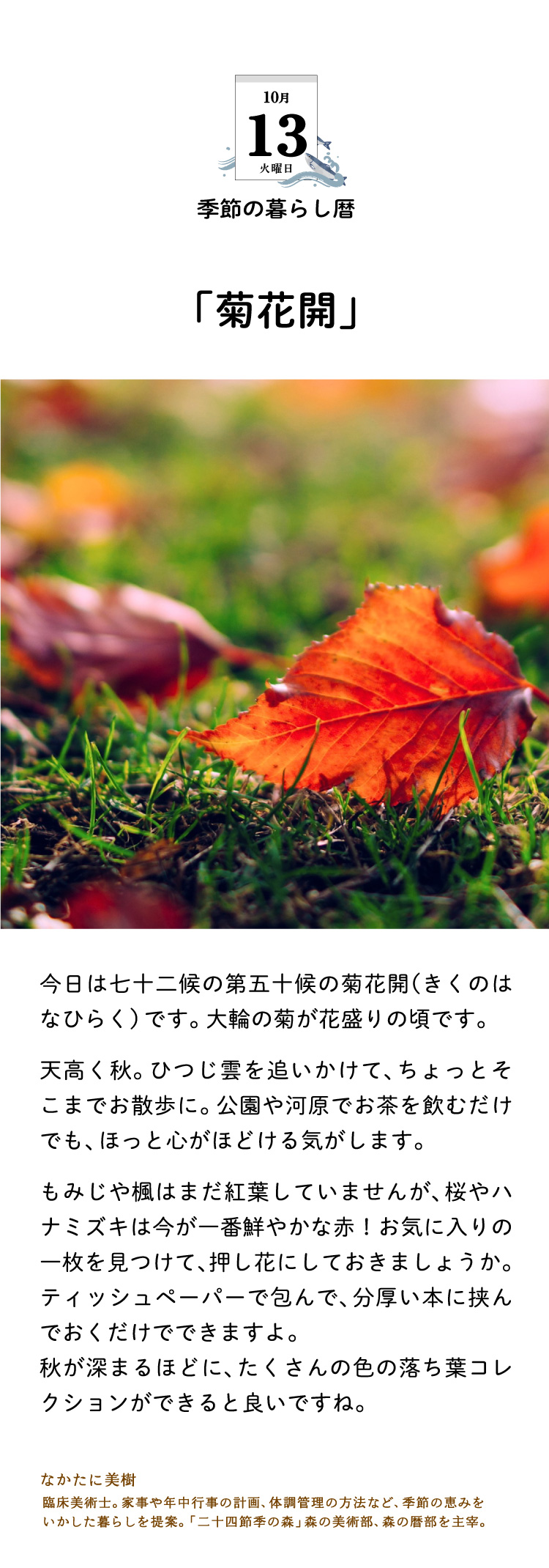 今日のこよみ